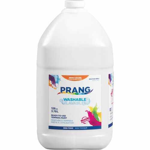 Washable Gallon Paint White