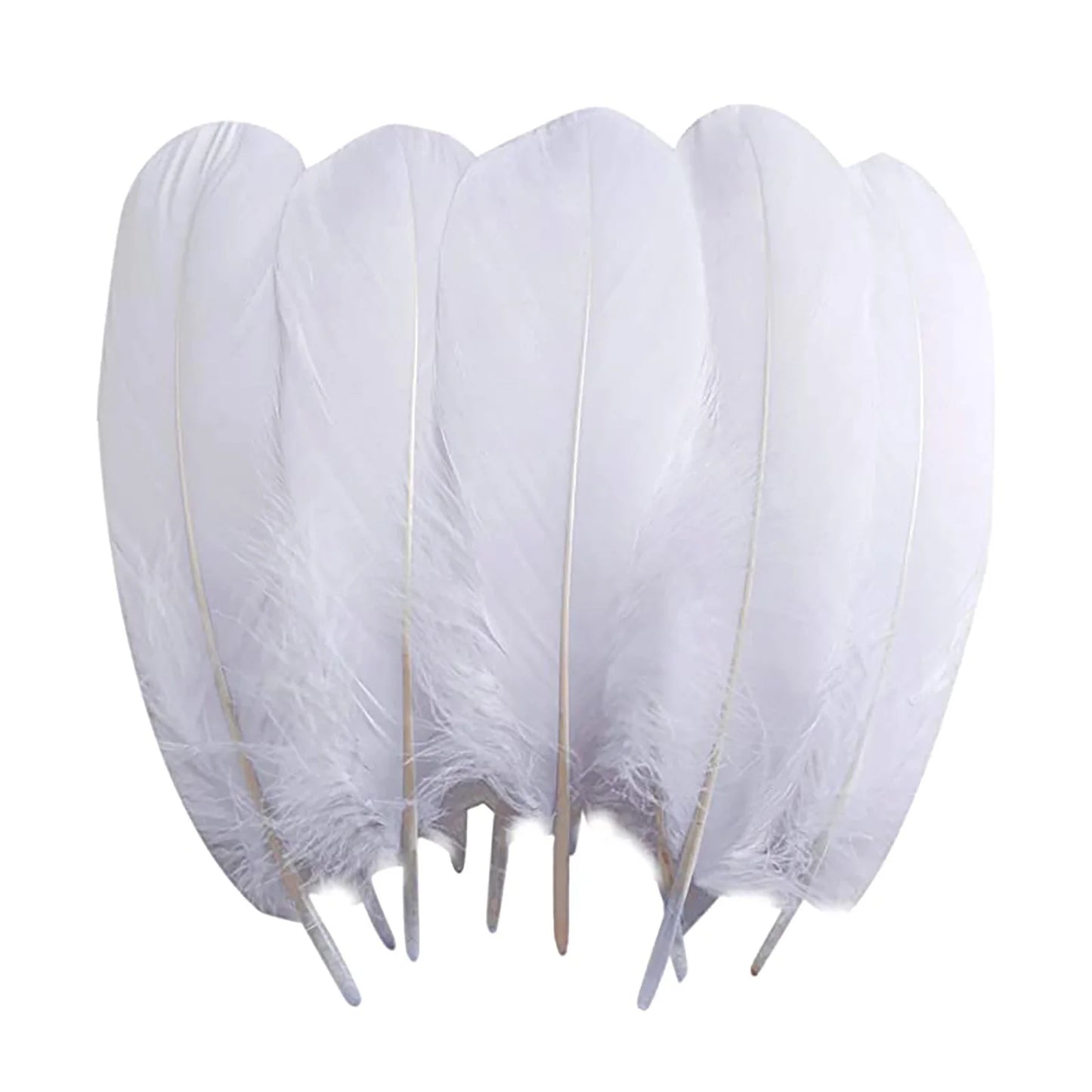 goose feather white 12pc