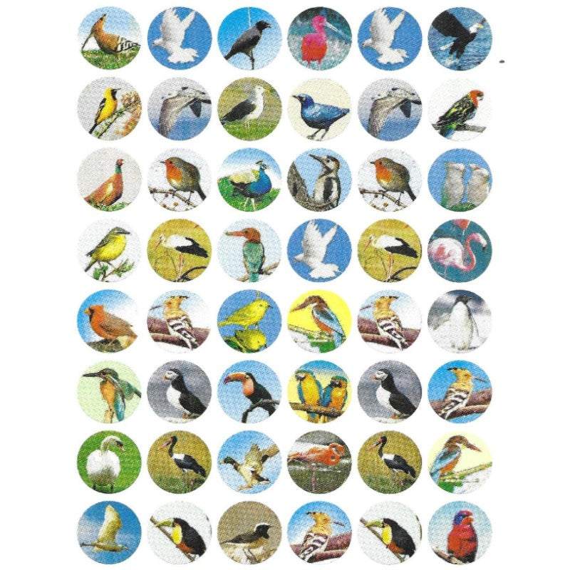 Assorted Birds Stickers 10-Sheets
