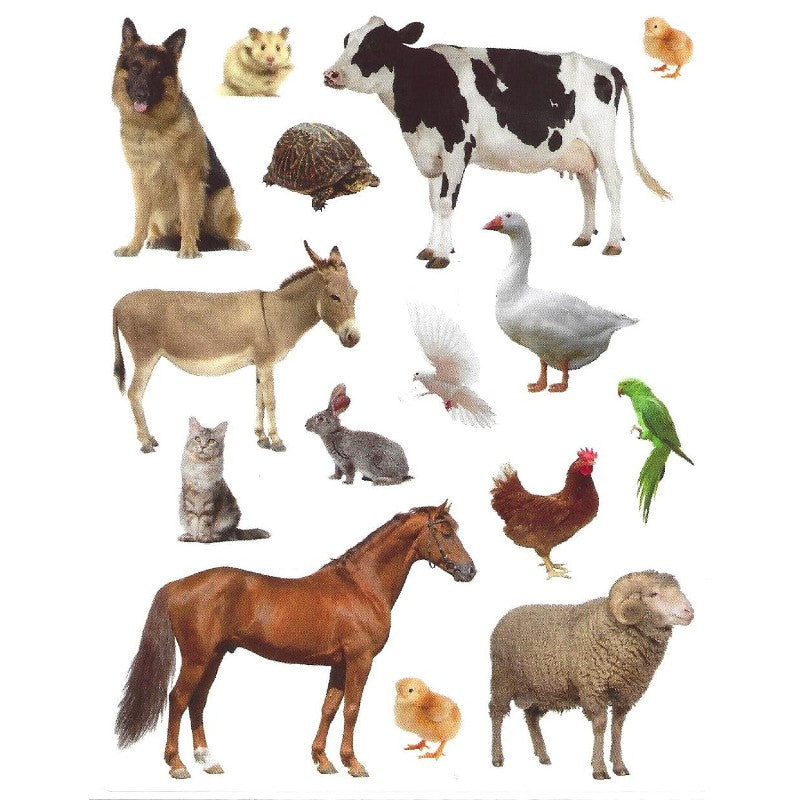 Farm Stickers, Pack of 10 Sheets