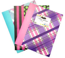 2 Pocket Poly Folder Assorted Design may Vary