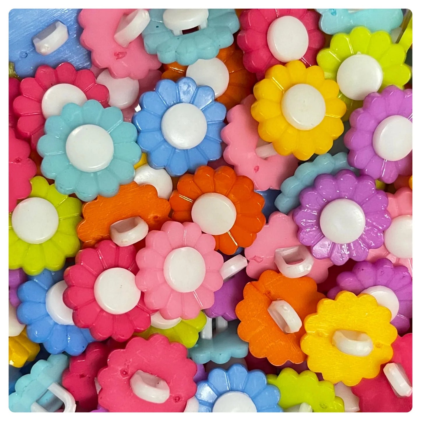 Button flower 36pc/0.5" Assorted