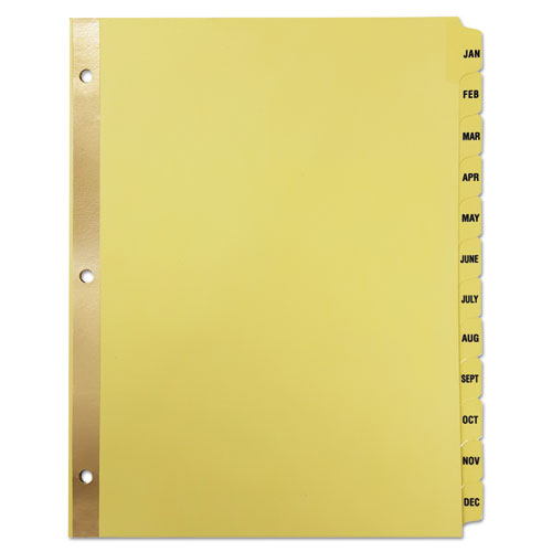 Monthly Clear Plastic Tab Index Dividers
