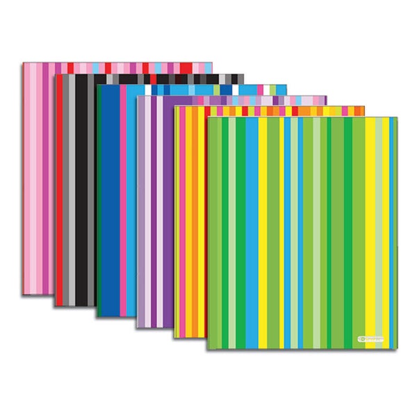 2 Pocket Striped Folder Color May Vary
