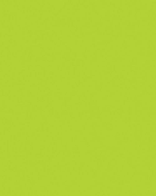Oak Tag Fluorescent Green Box of 50 Sheets