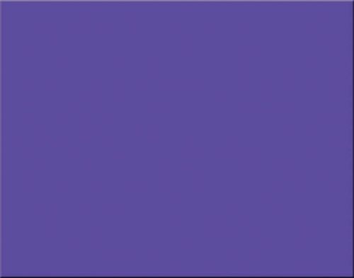 1 Sheet Oak Tag 22x28'' Purple