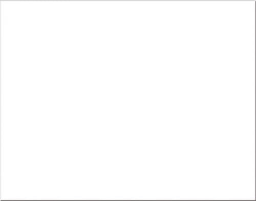 Oak Tag Box of 100 Sheets White