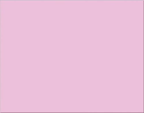 1 Sheet Oak Tag 22x28'' Pink