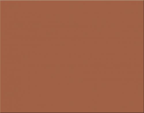1 Sheet Oak Tag 22x28'' Brown