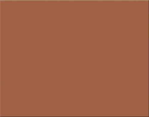 Oak Tag Box of 25 Sheets Brown