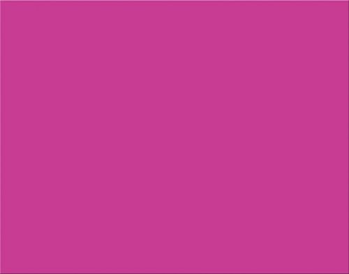 1 Sheet Oak Tag 22x28'' Magenta