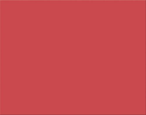 1 Sheet Oak Tag 22x28'' Red