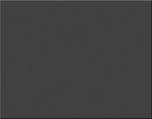 1 Sheet Oak Tag 22x28'' Black