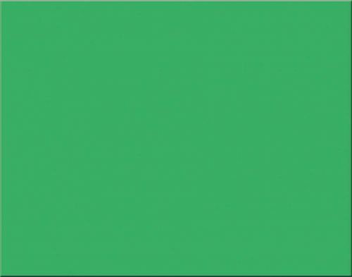 Oak Tag Box of 25 Sheets Holiday Green