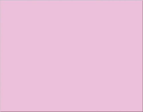 Oak Tag Box of 50 Sheets Pink