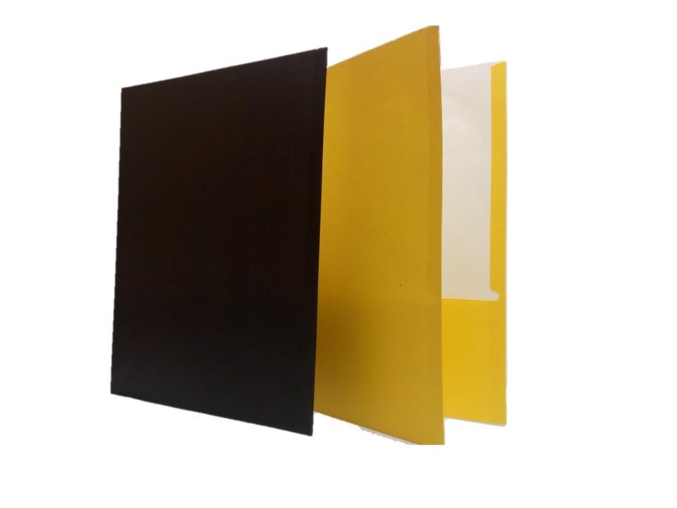 2 Pocket Paper Folder Color May Vary Each