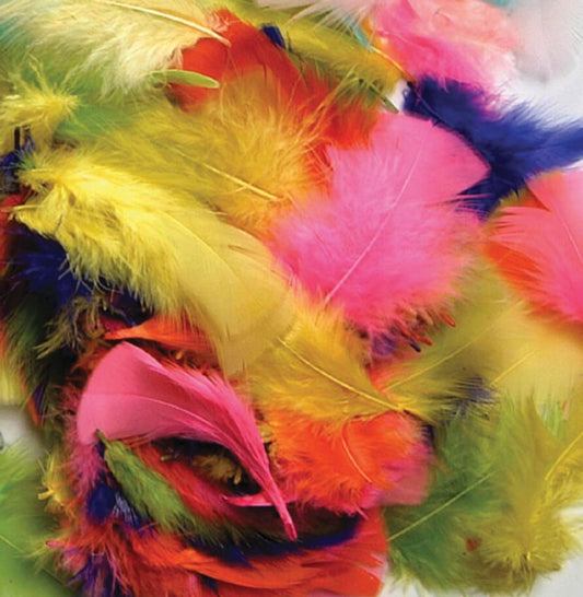 Assorted Bright Feathers 14 Grams