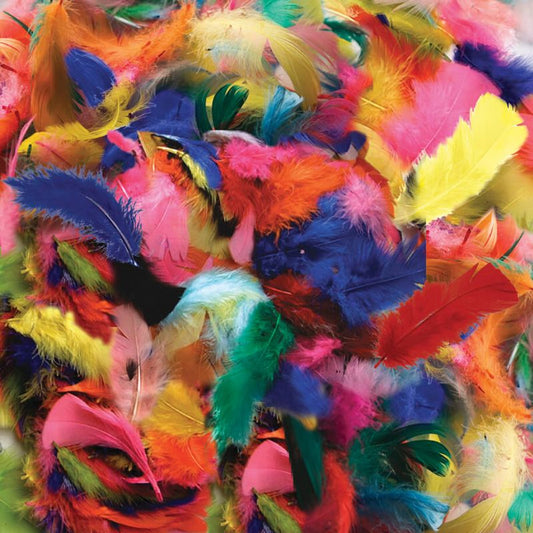 Assorted Hot Colors Feathers 14 Grams