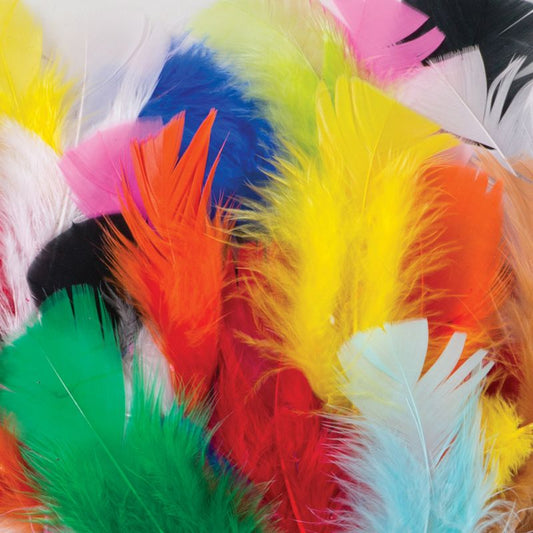 Assorted Bright Feathers 1oz