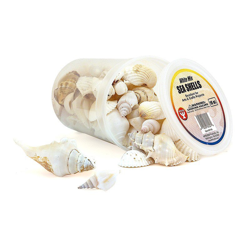 Sea Shells 16 oz White Mix