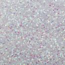 1lb Glitter Shaker Can Iridescent