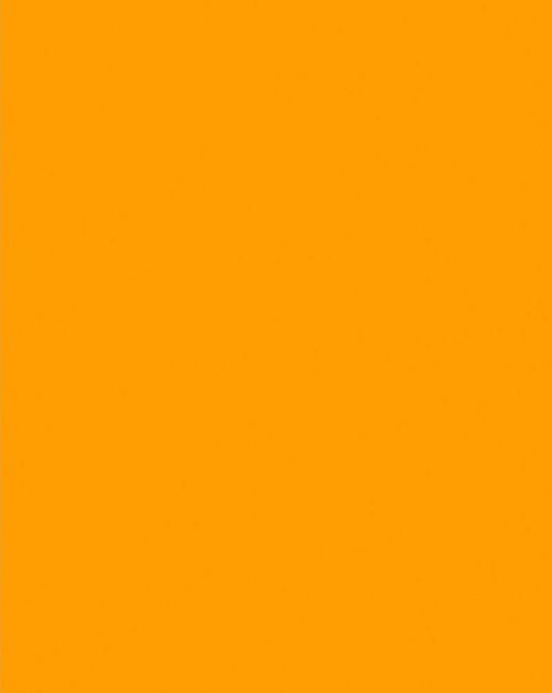 Oak Tag Fluorescent Orange Box of  50 Sheets