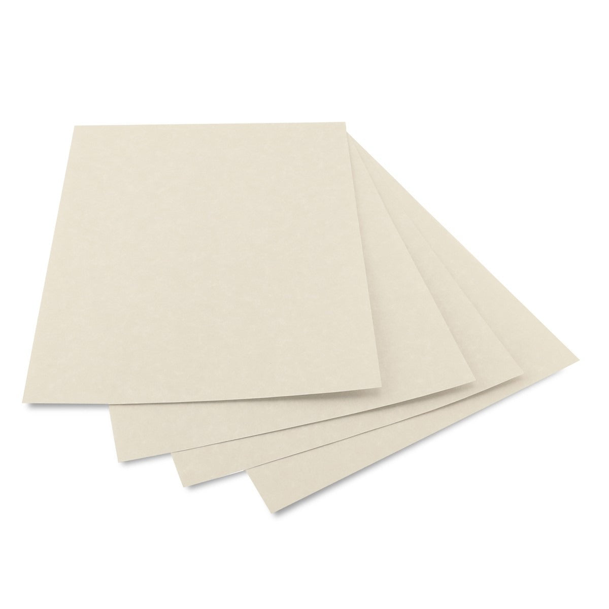Parchment Paper Gray