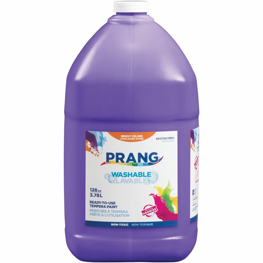 Washable Gallon Paint Violet