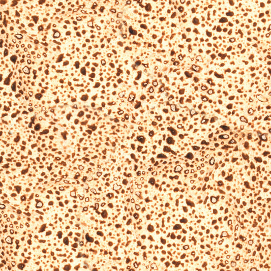 Matzah Paper Letter Size