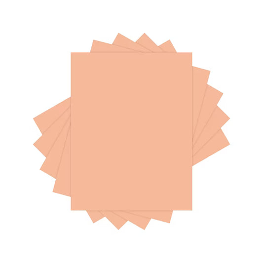 Copy Paper, 20 lb, 8-1/2 x 11 500 Sheets Salmon