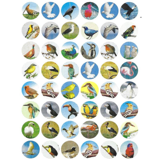 Assorted Birds Stickers 10-Sheets