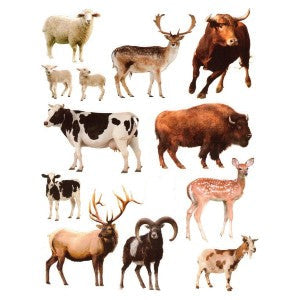 Kosher Animal Stickers, Pack of 10 Sheets
