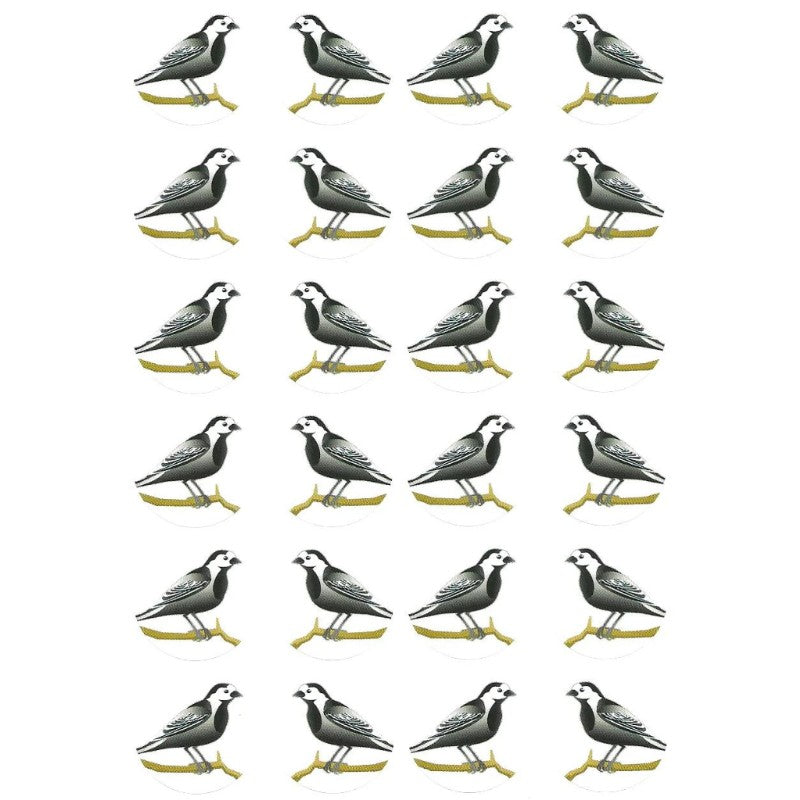 Black Birds Stickers, Pack of 10 Sheets