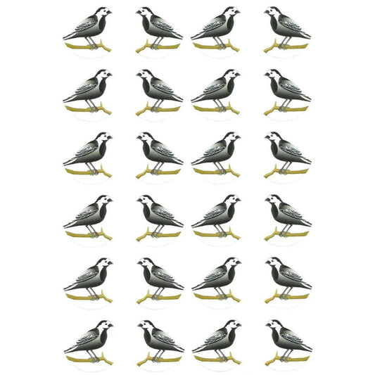 Black Birds Stickers, Pack of 10 Sheets