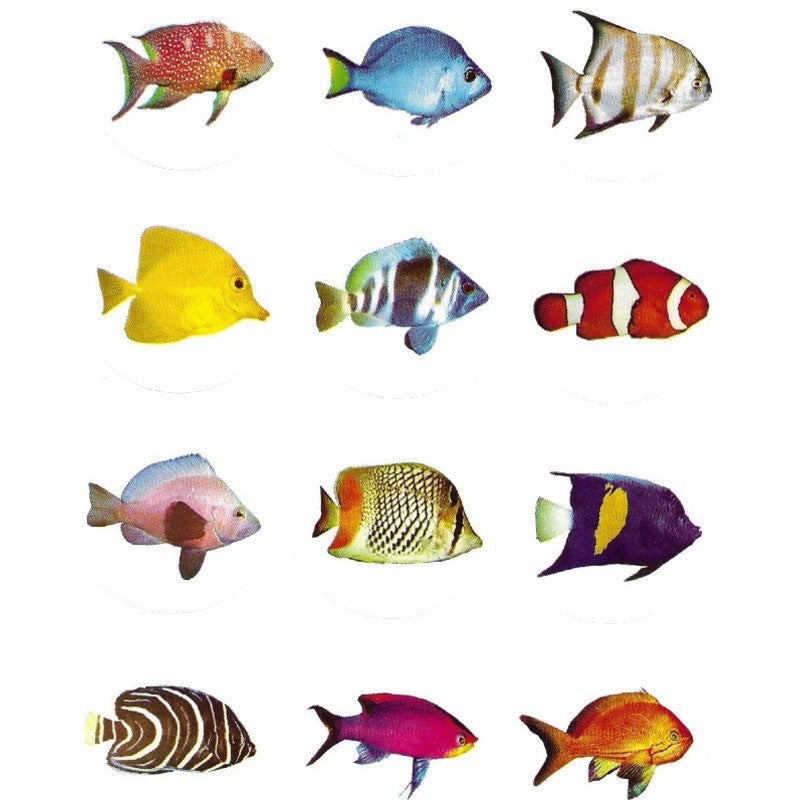 Large Fish Stickers, Pack of 10 Sheets