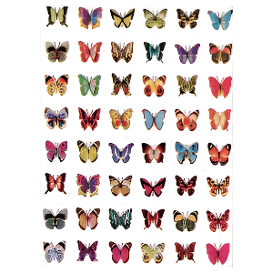 Butterfly 3/4' Stickers 10-Sheets