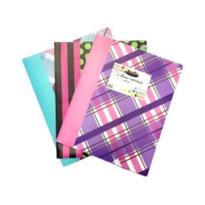 2 Pocket Poly Folder Assorted Design may Vary