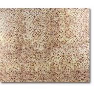 Matzoh Poster Board