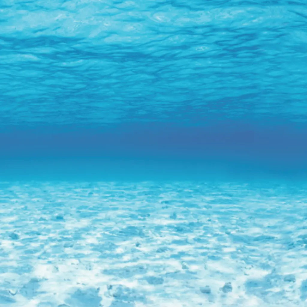 Design Fadeless Paper Roll 48" x 50' Under The Sea