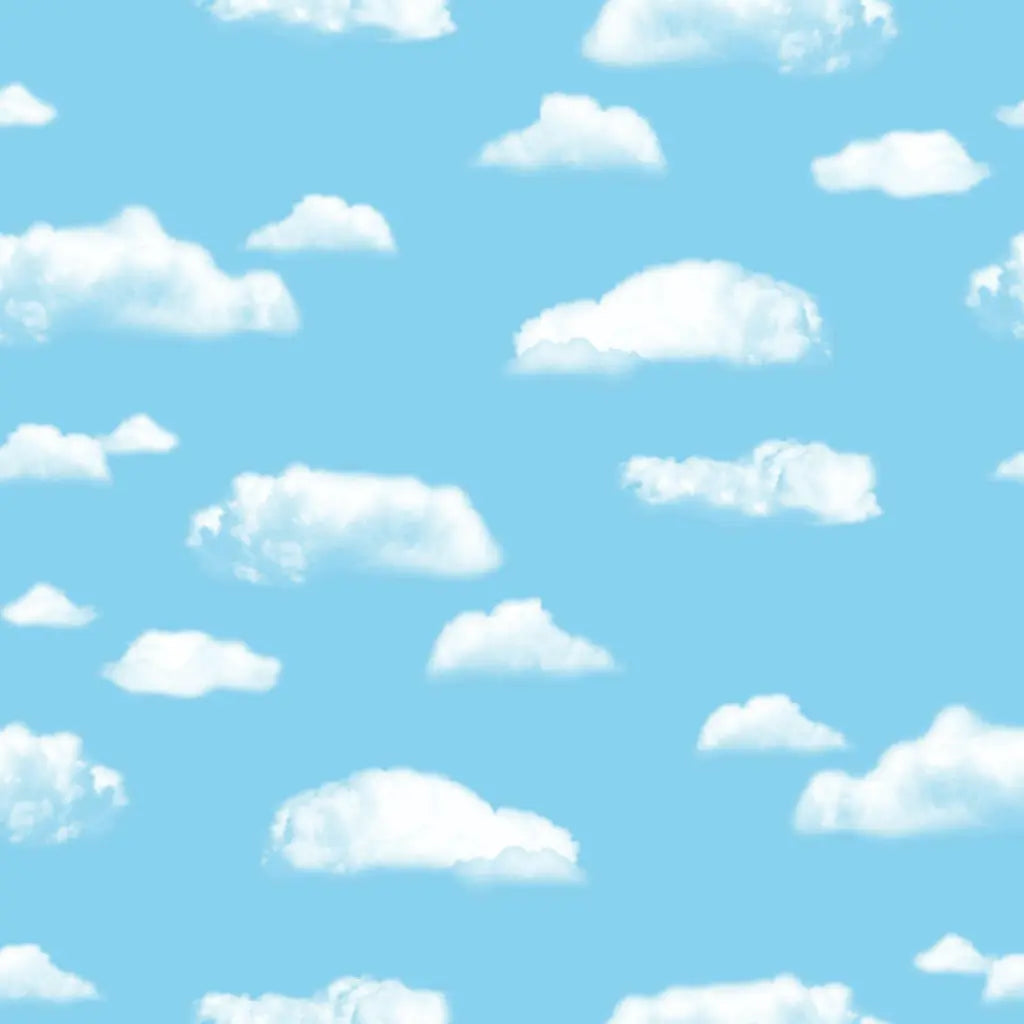 Design Fadeless Paper Roll 48" x 50' Clouds