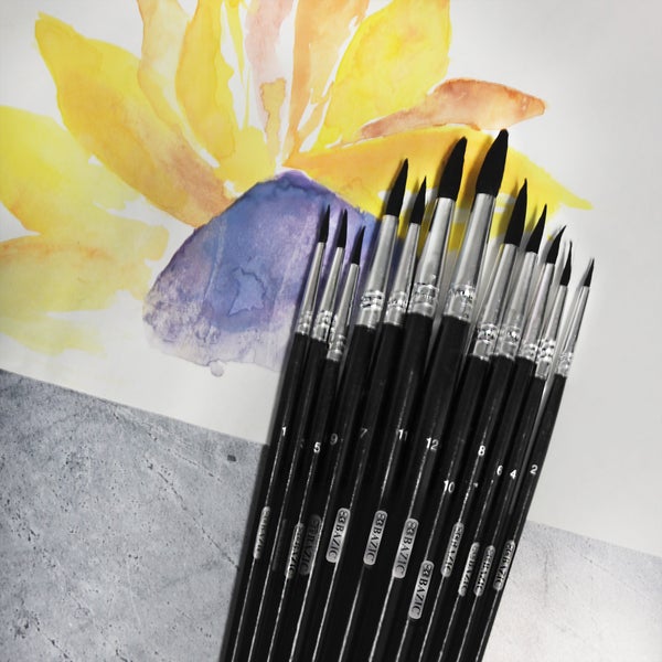 Round Natural Hair Paint Brush (12/Pack)