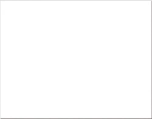 Oak Tag Box of 100 Sheets White