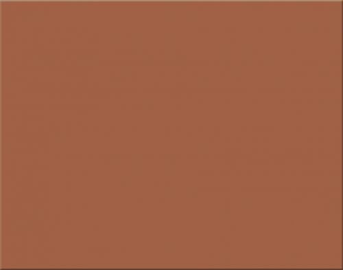 Oak Tag Box of 50 Sheets Brown