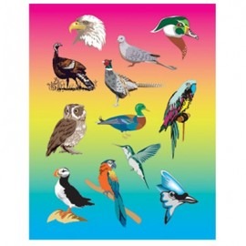 Birds Stickers