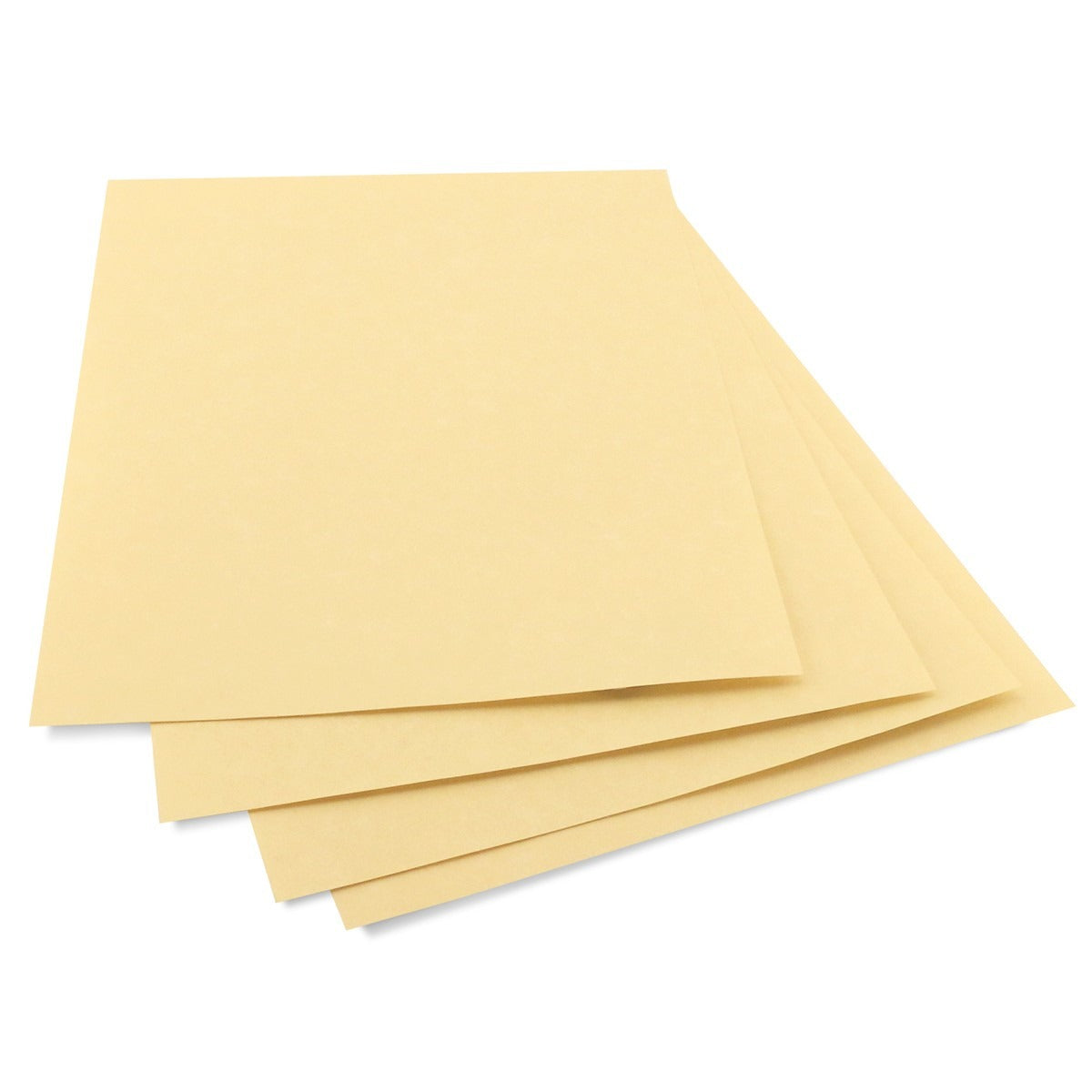 Parchment Paper Gold