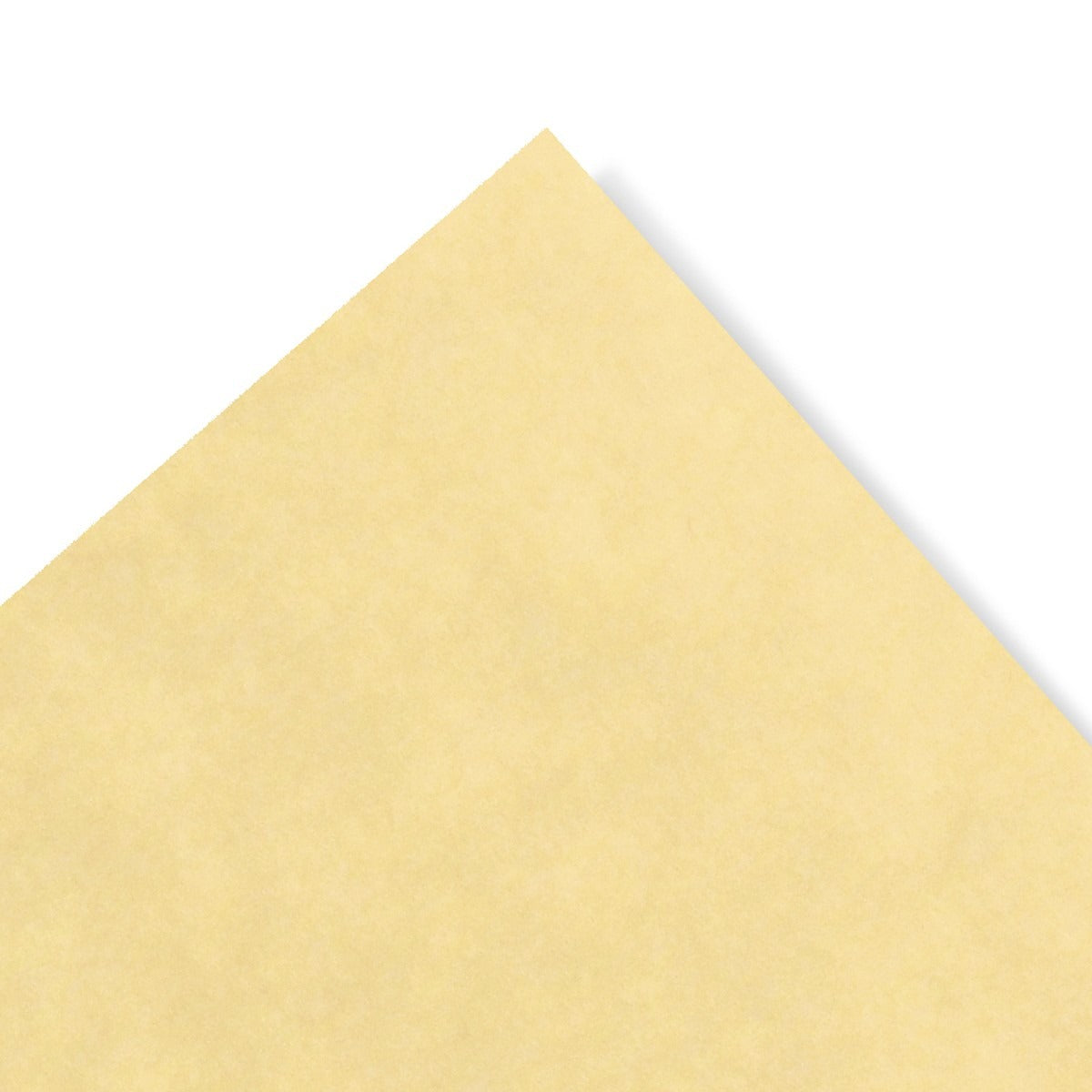 Parchment Paper Gold